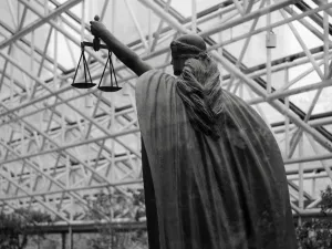 Legal Content Generation and Analysis for Law Firms